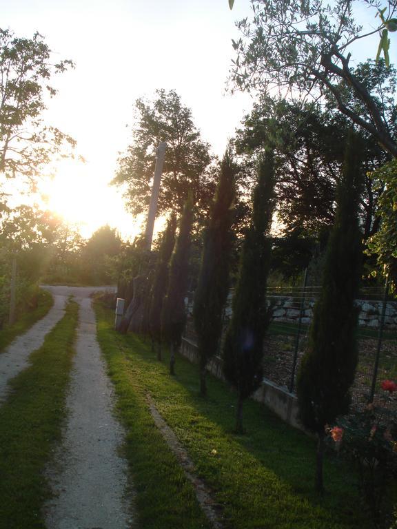 Agriturismo La Fattoria 圣多纳托瓦尔迪科米诺 外观 照片