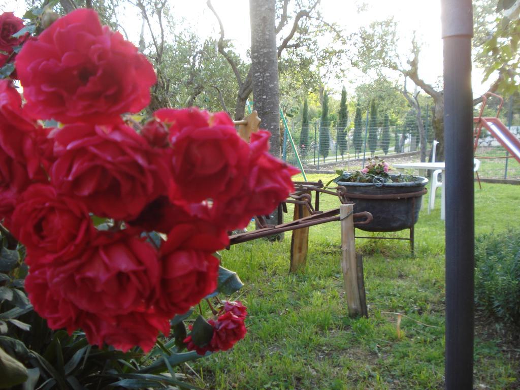 Agriturismo La Fattoria 圣多纳托瓦尔迪科米诺 外观 照片